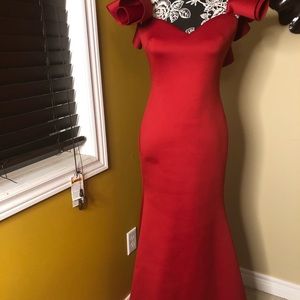 Red Formal Dress with Back detail and Billow Sleeves. Perfect for the New Year😉